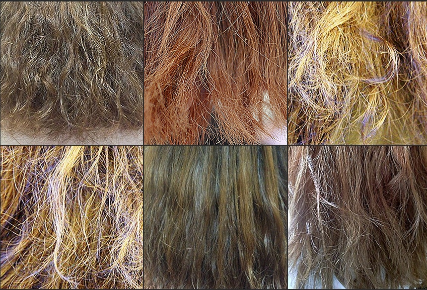dry damanged brittle hair